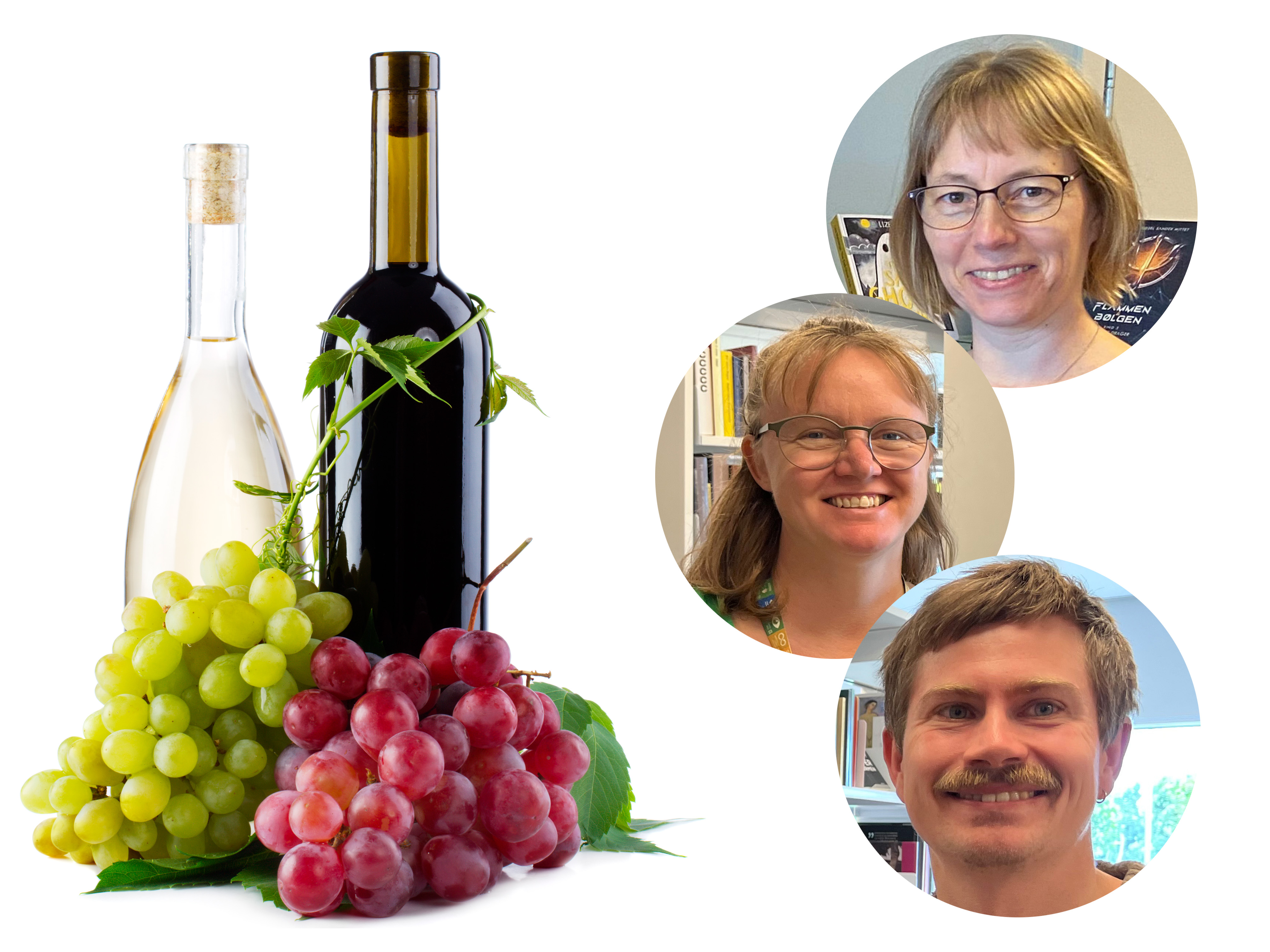 Bogcafé: Vin & Bøger