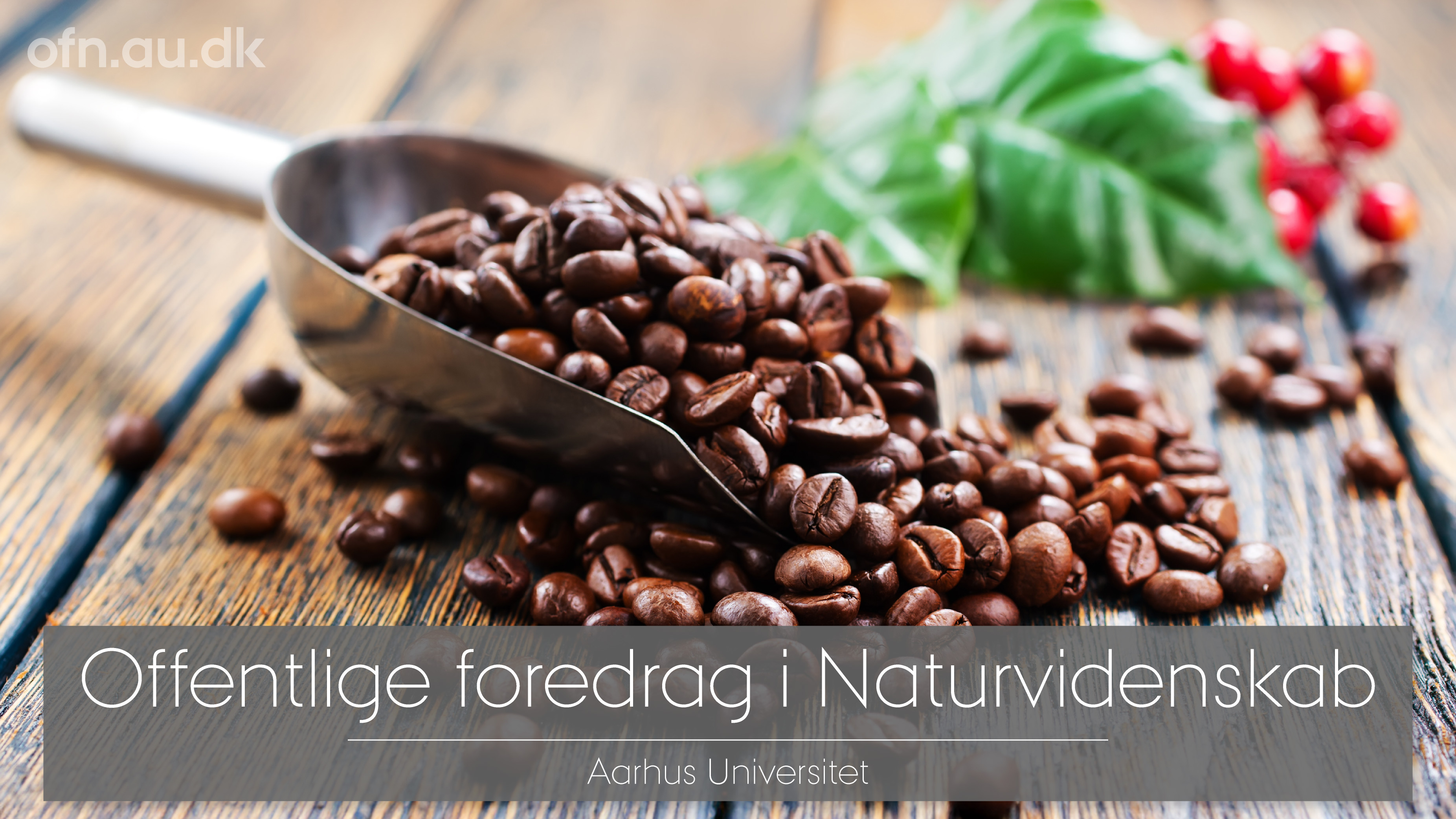 Livestreamet foredrag fra Aarhus Universitet: Kaffe