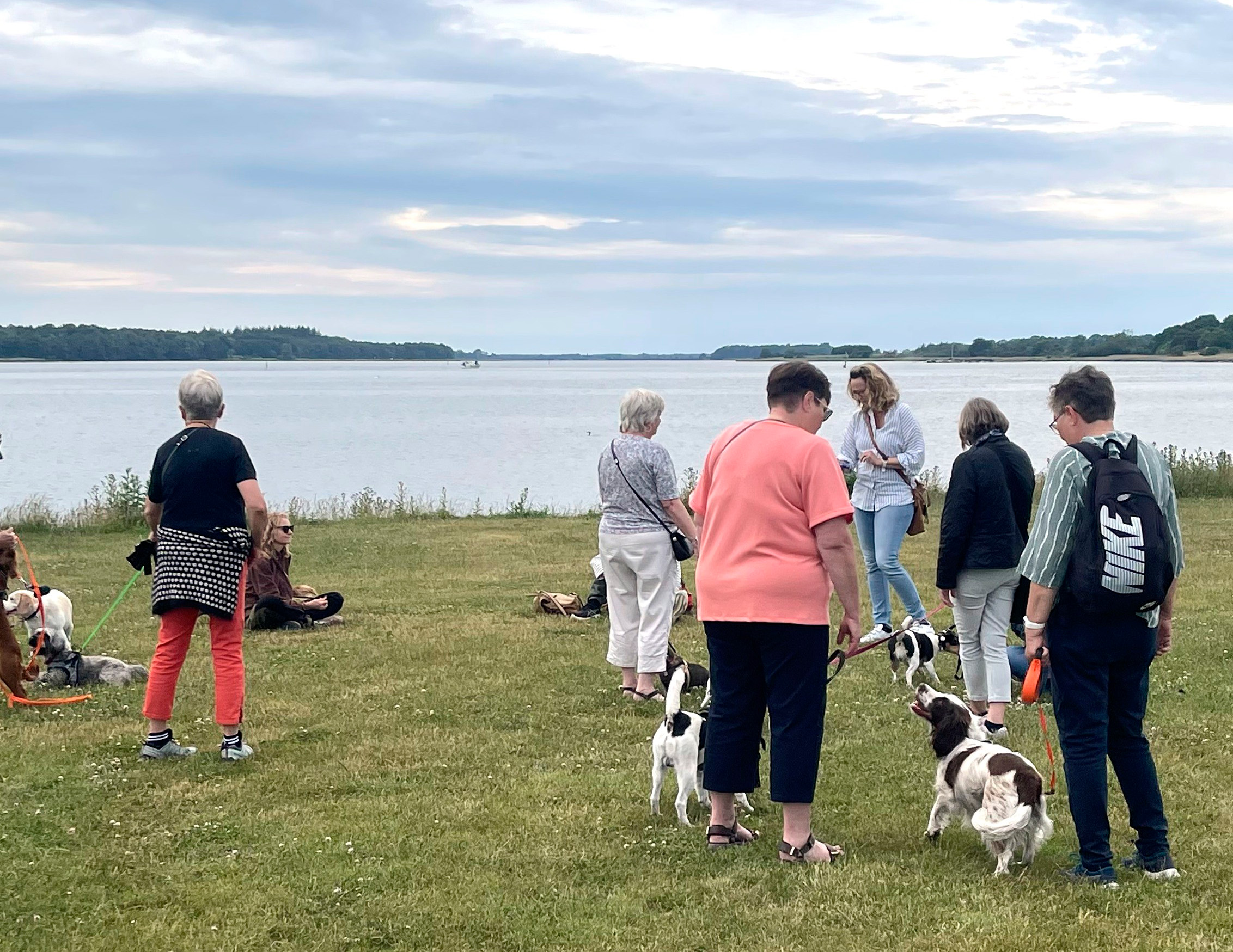 Litterær hundeluftning