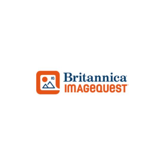 ImageQuest Logo