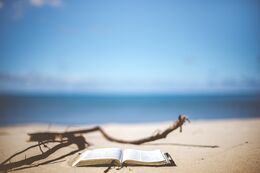 Læsning ved stranden