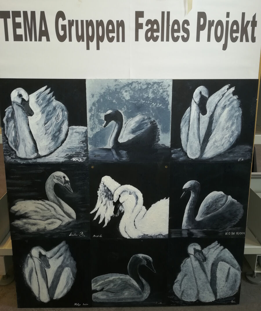 Forskellige tegninger af en svane tegnet af medlemmerne af TEMA-gruppen