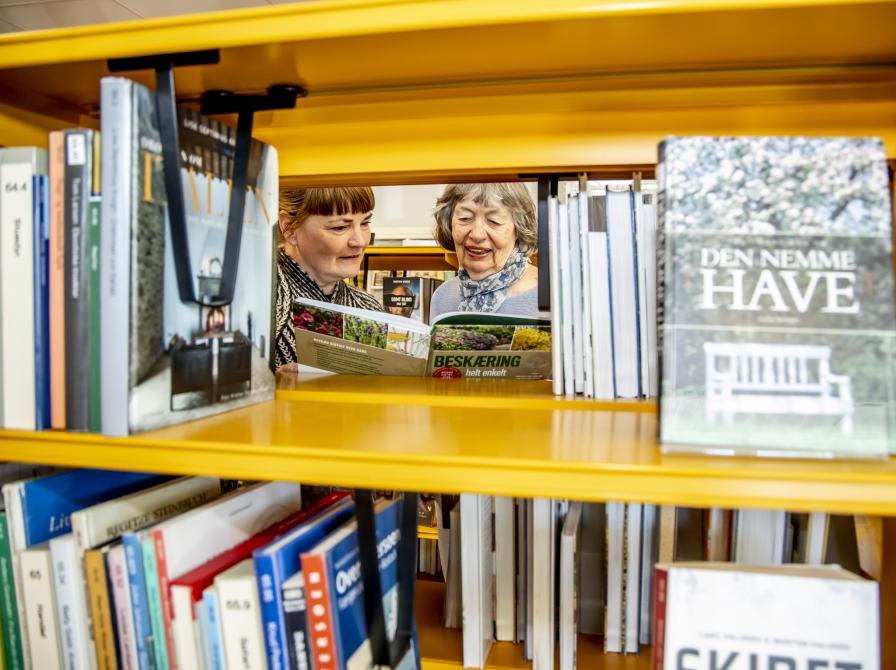 to lånere der kigger i bøger på biblioteket