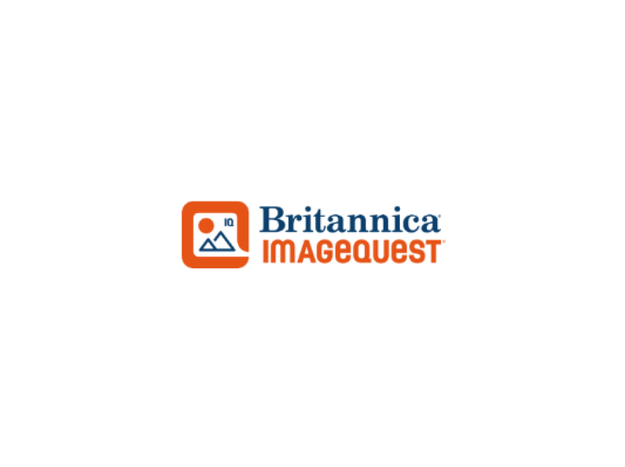 ImageQuest Logo