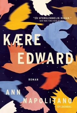 Ann Napolitano: Kære Edward : roman