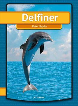 Peter Bejder: Delfiner